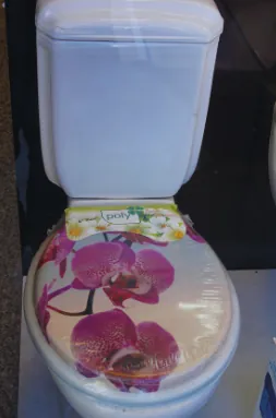 Orkide desenli kapağa sahip rezervuarlı klozet